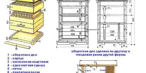 Jak si vyrobit včelí úl sami: použijte kresby